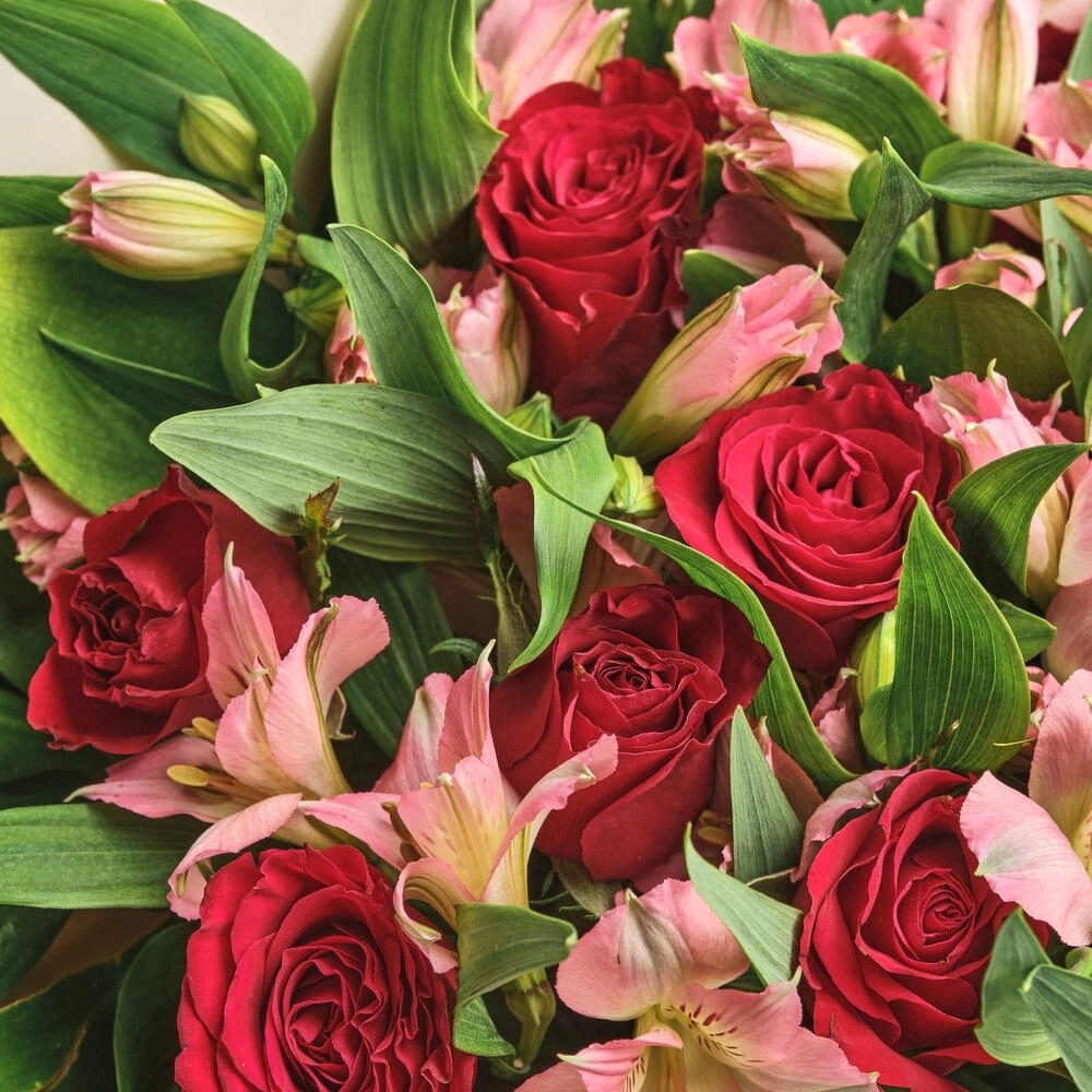 Букет «Нежность слов» — гармония красных роз и нежных альстромерий Бугульма Республика Татарстан